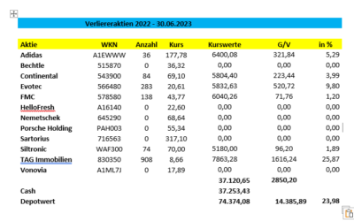 + 23,98 % im Verliereraktien 2022 – Musterdepot
