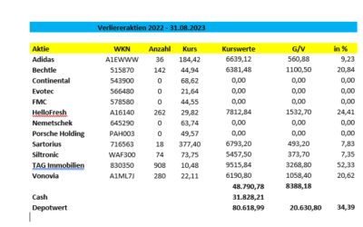+ 34,39 % im Verliereraktien 2022 – Musterdepot